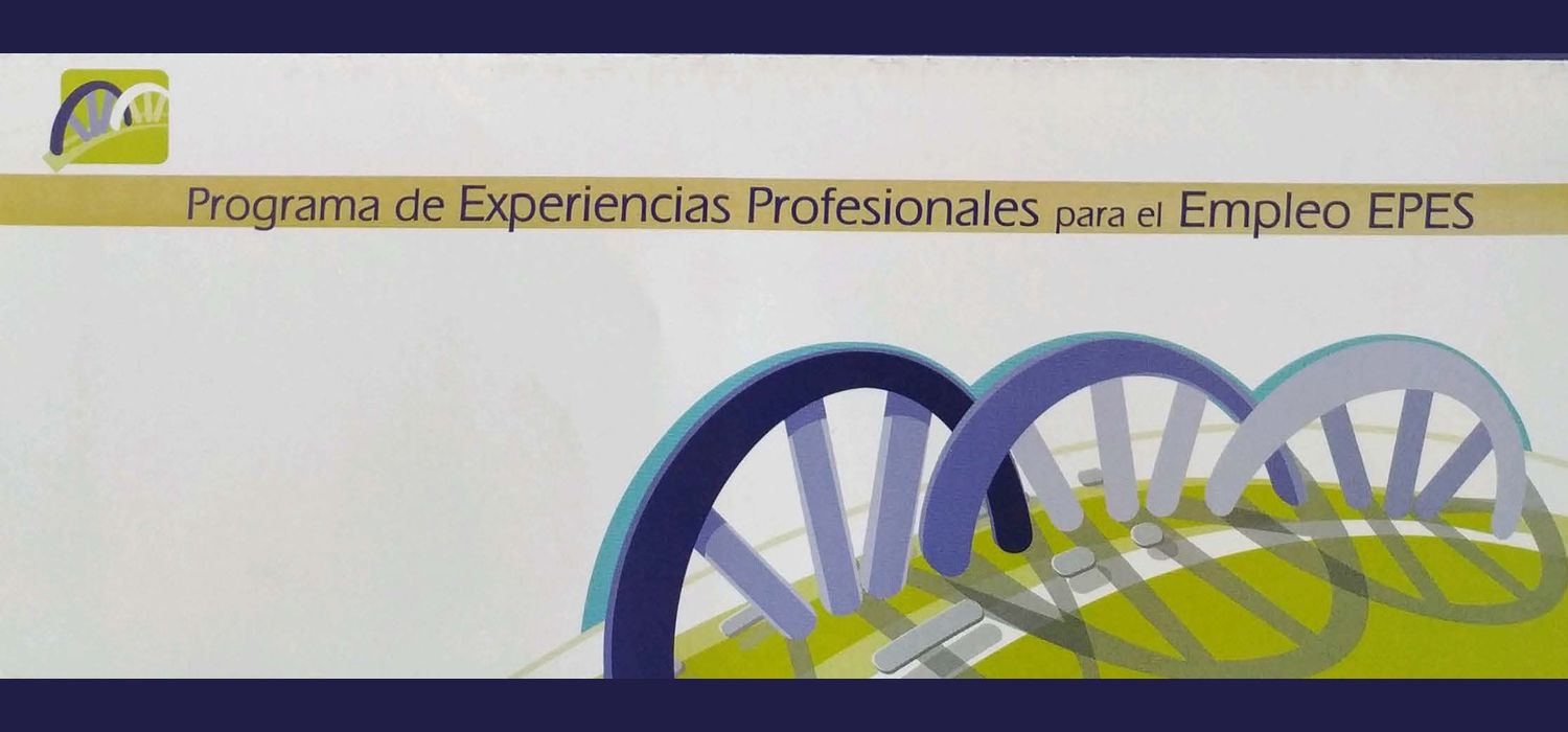 Experiencias Profesionales para el Empleo (EPES)- Ayuntamiento de Jerez de la Frontera